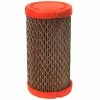 Briggs & Stratton Air Filter #12673